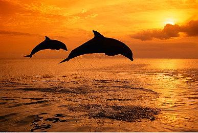 Steam新品节现已开幕 数百款PC游戏提供试玩